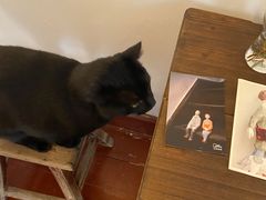-春风十里咖啡馆
