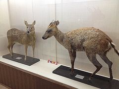 -下渚湖国家湿地公园科普馆