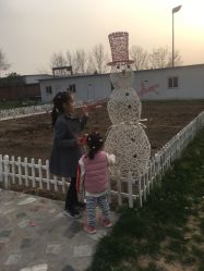 -上美四季动物农场
