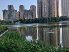 -仙女湖公园