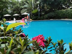 -岷山饭店-芝芝自助餐厅