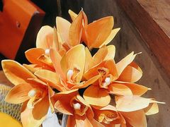 -隔壁老王·家常云南菜(皇冠店)