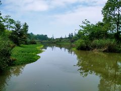 -桤木河湿地公园