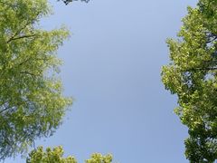 -上海滨江森林公园