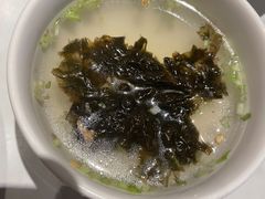 -MR鹅外