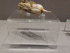 -四川博物院