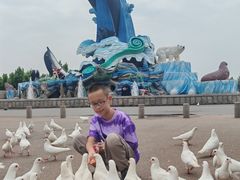 -泉城欧乐堡海洋极地世界