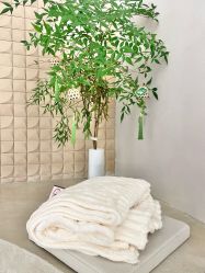 点击看大图 -BR光电保养