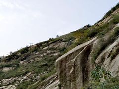 -沣峪口