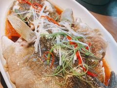 清蒸鱼-辛香汇·现炒川菜(淮海路百盛店)