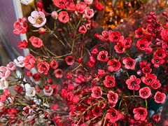 -盒马鲜生(首义店)