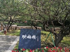 -红梅公园