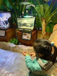 -酷嗒动物文化乐园(cutezoo西溪乐天城店)