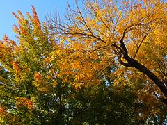 -北京西山国家森林公园