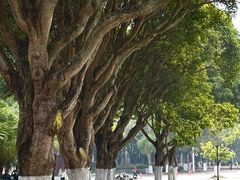 -厦门大学(思明校区)