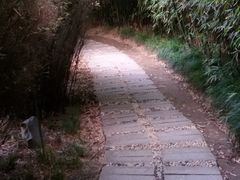 -苏州河梦清园环保主题公园