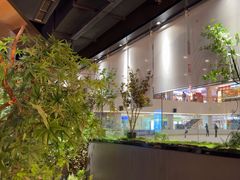 -吉庆莲年有鱼炭烤鱼(苏宁广场店)