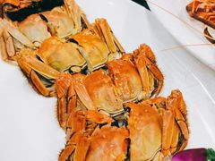 -洪湖家庭农场·团建·露营·会议