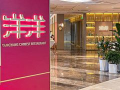 -洋洋中餐馆·SINCE 1997(信投店)