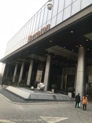 -青岛李沧绿城喜来登酒店·宴会厅
