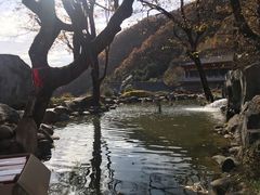 -塔云山