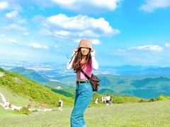 -大姆山草场