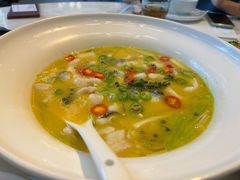 鲜青花椒鱼-港丽餐厅(高德置地店)