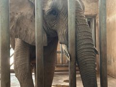 -石家庄市动物园