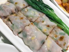 -南枝记
