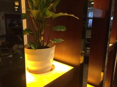 -冶春茶社(星汉大厦店)