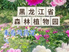 -黑龙江省森林植物园