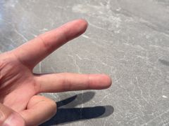 -1937青岛老味道·海肠捞饭·青岛菜(大鲍岛栈桥店)