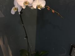 -国贸格兰维大酒店-山城映像中餐厅(青年路店)