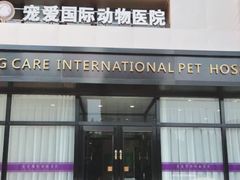 -宠爱国际动物医院· 猫科· 外科·中兽医(长白店)