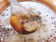 -糖潮糖水铺(省府店)