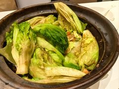 啫啫生菜煲-陶陶居酒家(第十甫路总店)