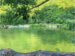 -秦岭终南山世界地质公园翠华山景区