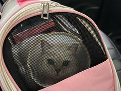 -芭比堂动物医院·犬猫全科·异宠专科(雁塔分院)