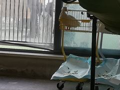 -浣熊柯尔鸭土拨鼠·电玩咖