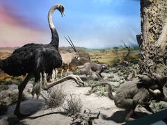 -国家自然博物馆