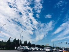 -中关村生命科学园