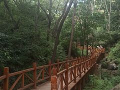-大岭沟猕猴桃谷风景区