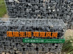 -爪吧宠物乐园·宠物泳池(温榆河示范区店)