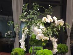 -杭州桐庐康莱德酒店西餐厅-舍