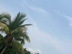 -深圳湾公园(南山区)