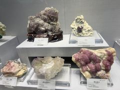 -湖南省地质博物馆