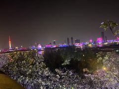 -武汉长江大桥