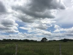 -塞罕坝国家级自然保护区