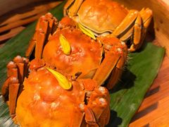 -成隆行·蟹王府(淮海店)