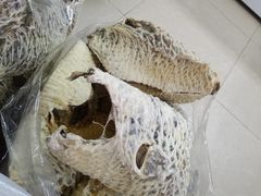 -鸿港海鲜批发市场